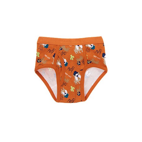 Трусы Gymboree, 2-3 года